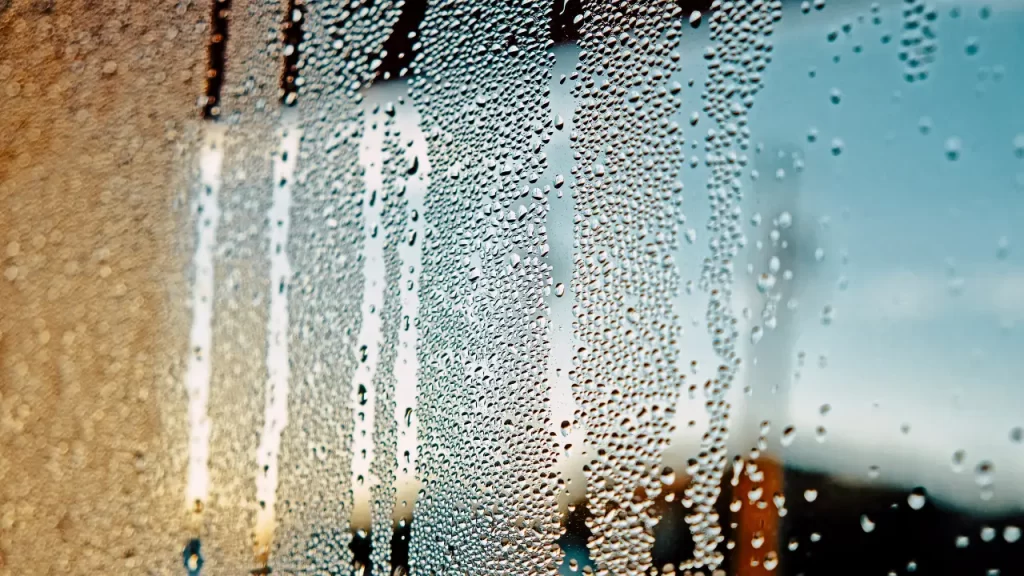 Condensation Between Panes