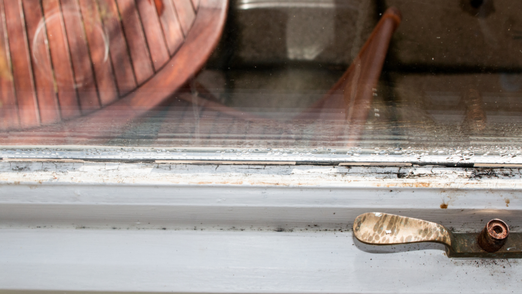 Window with a damaged window seals