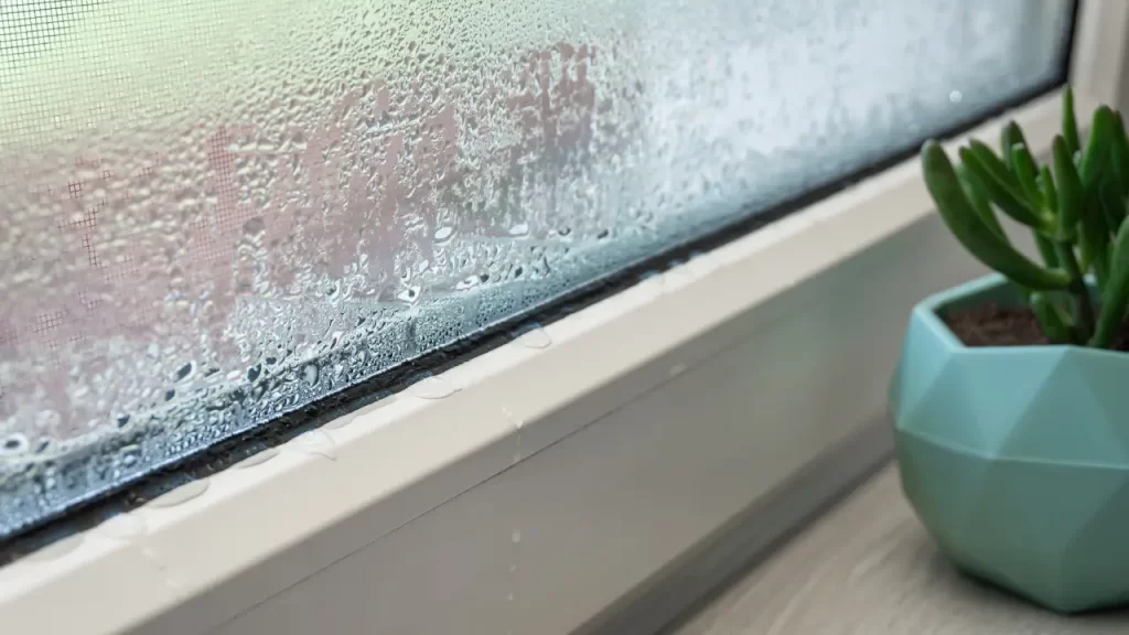 rain water seeping inside through the drafty windows
