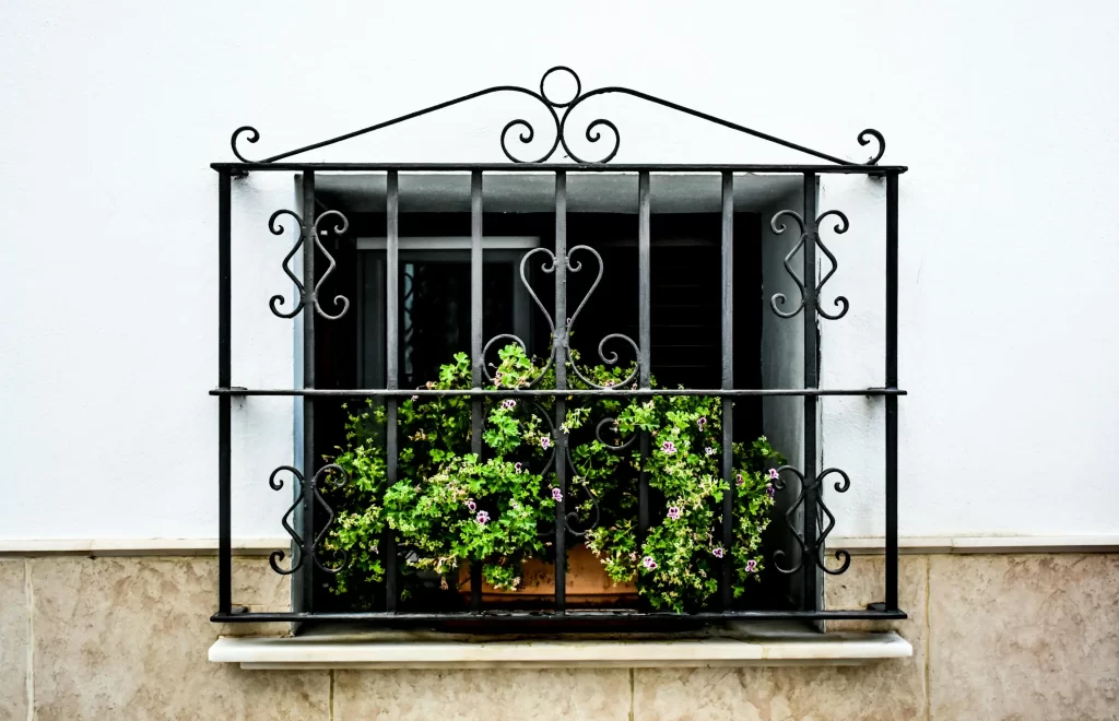 Window grille with plant